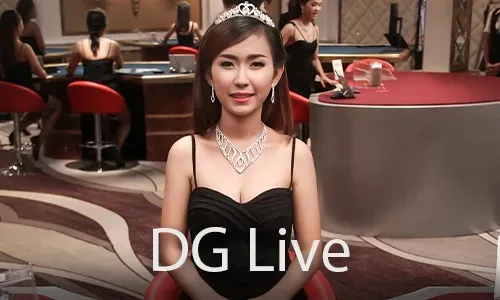 24/7 Live Customer Support